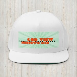 God View III Flat Bill Cap