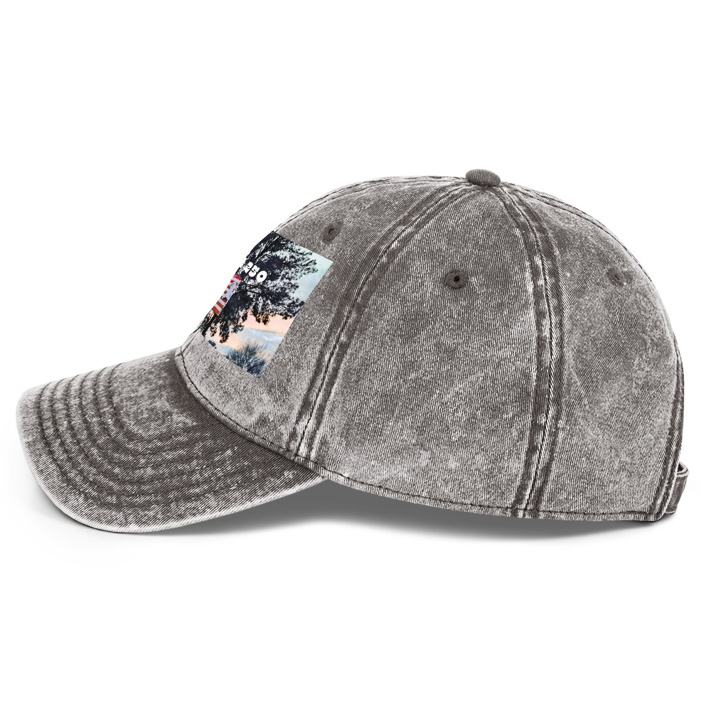 World Hippie America 250 Vintage Cotton Twill Cap, hats category